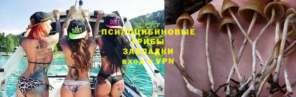 а пвп мука Арсеньев