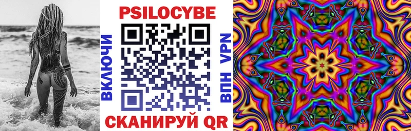 hydra tor Белокуриха Псилоцибиновые грибы ЛСД